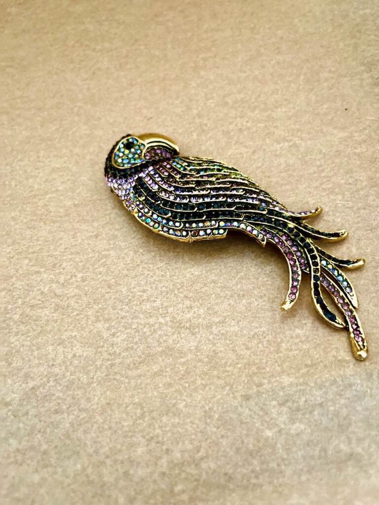 Stor papegøje broche