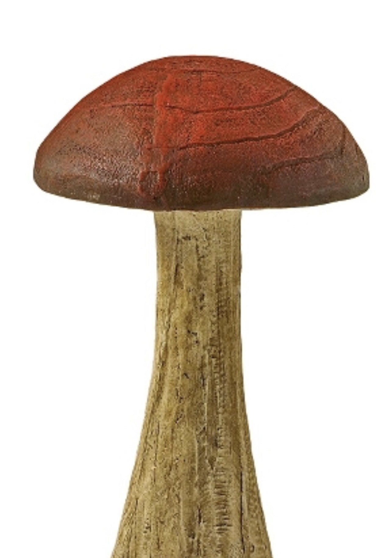 STORE svampe i tre størrelser