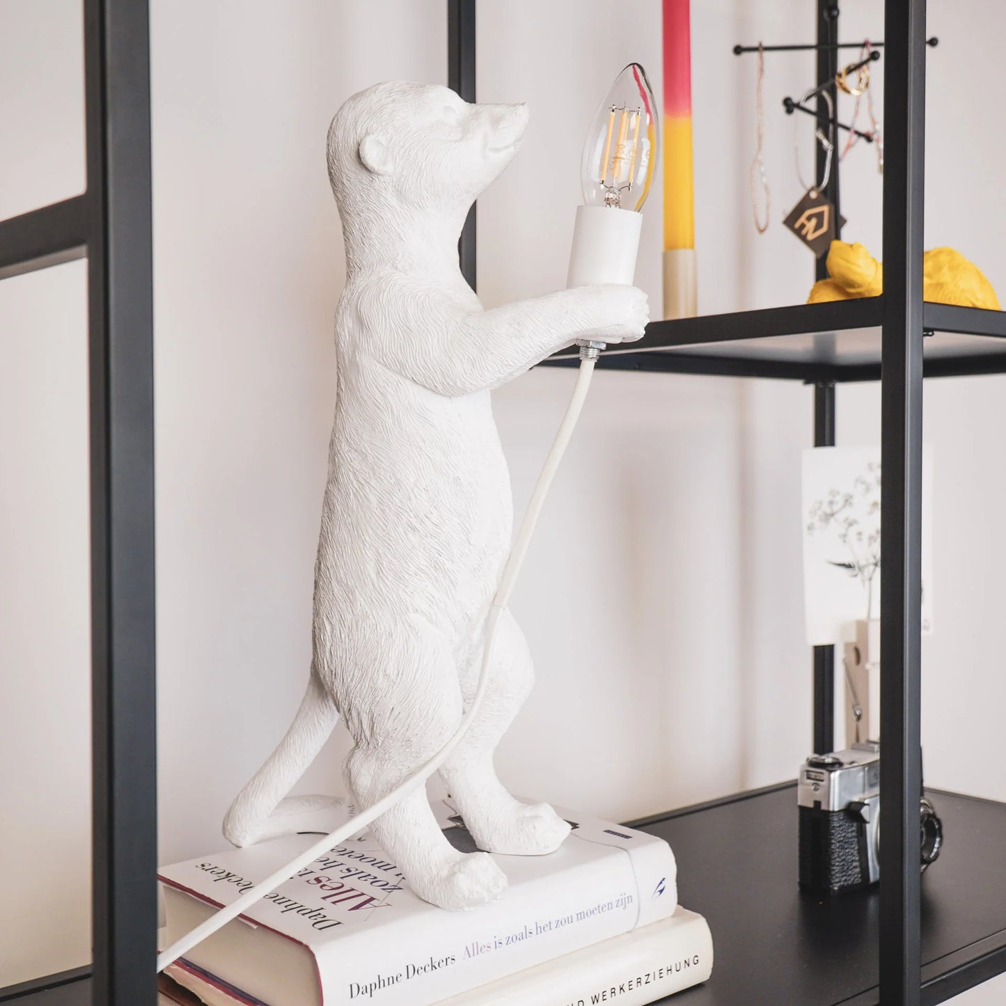 Lampe surikat