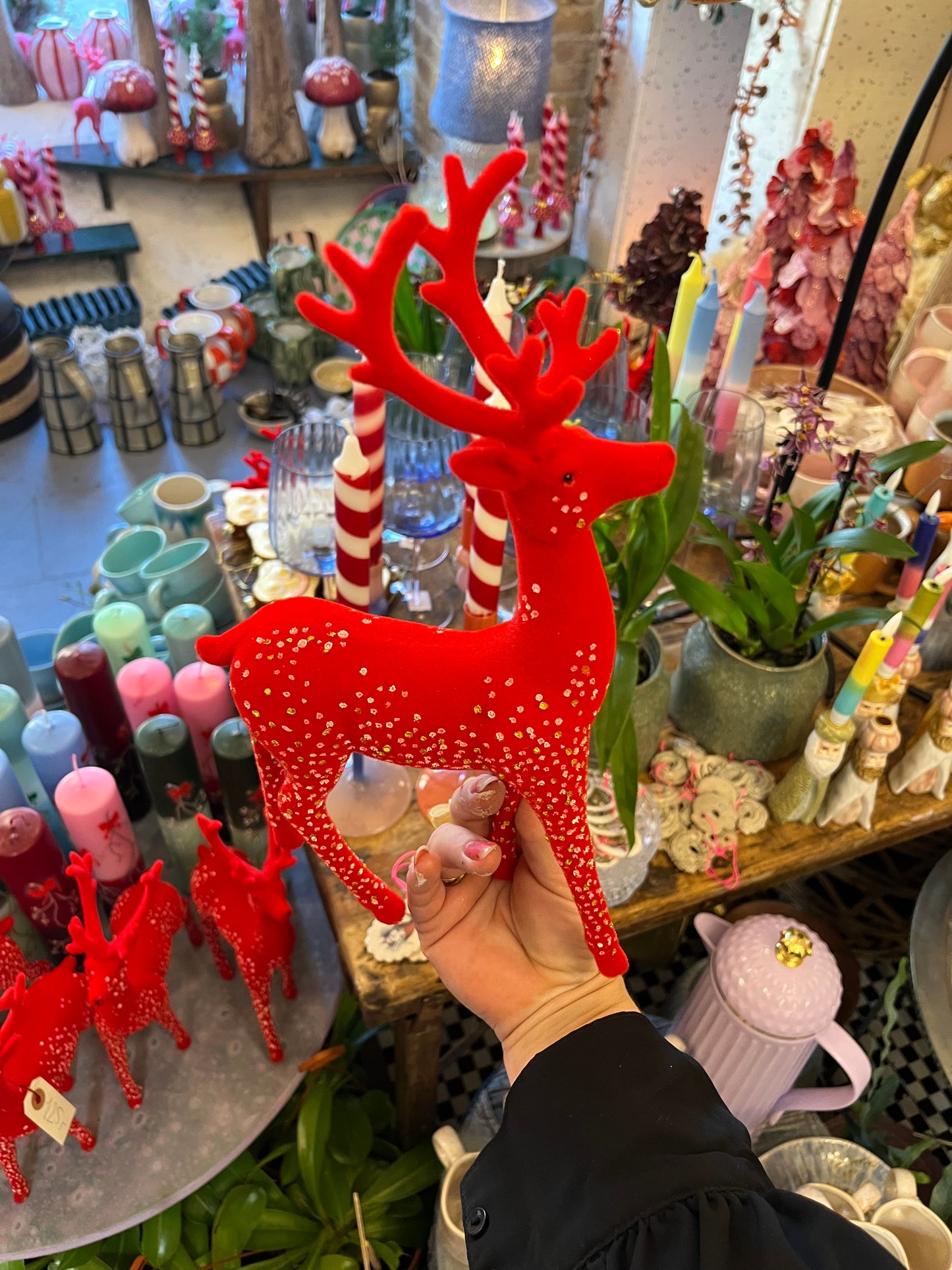 Rød Hjort med prikker