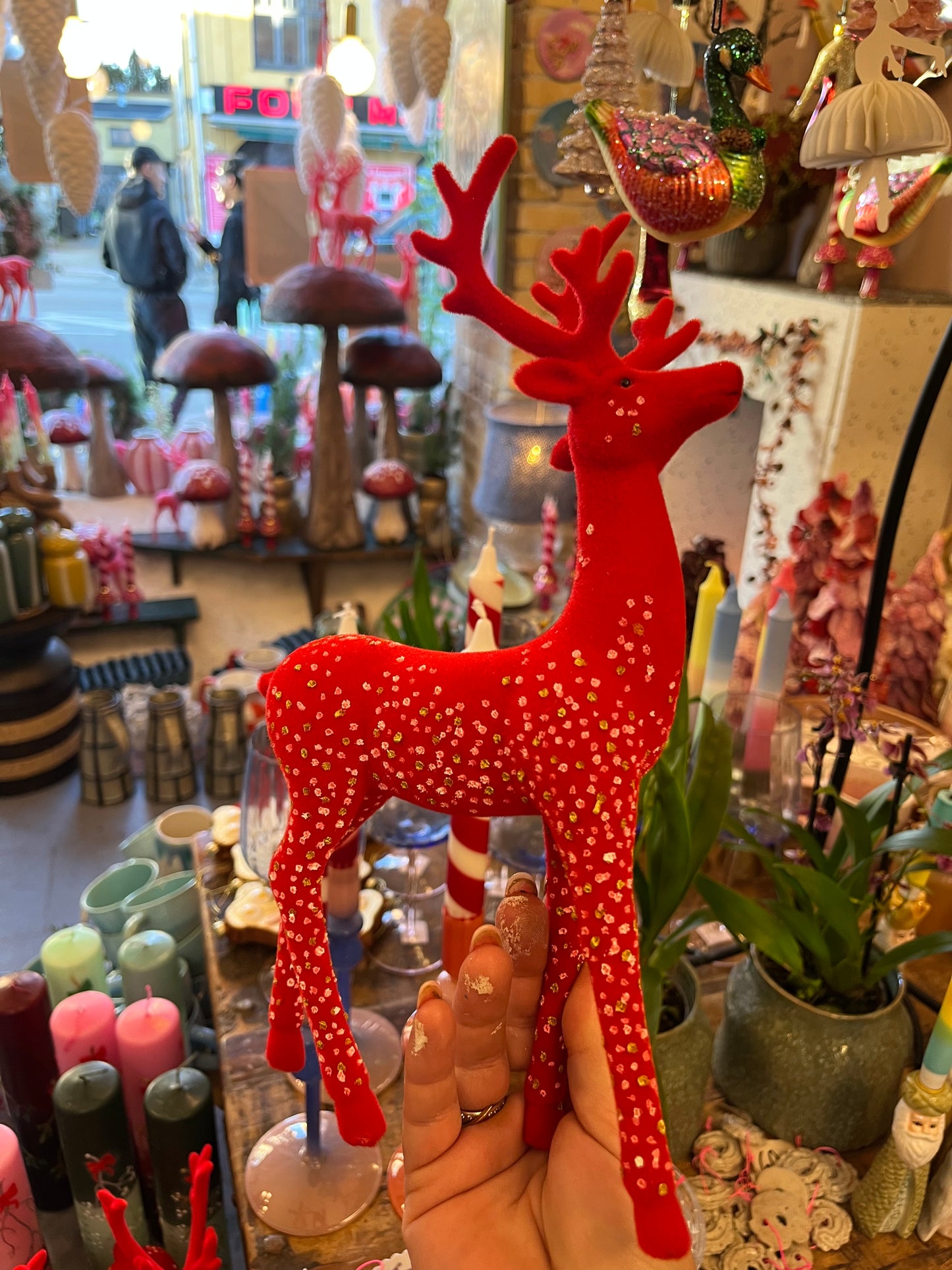 Rød Hjort med prikker